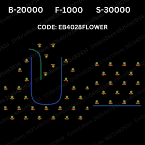 EB4028 FLOWER Embroidery Design DST FIle (Copy)